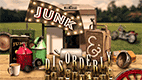 Junk & Disorderly